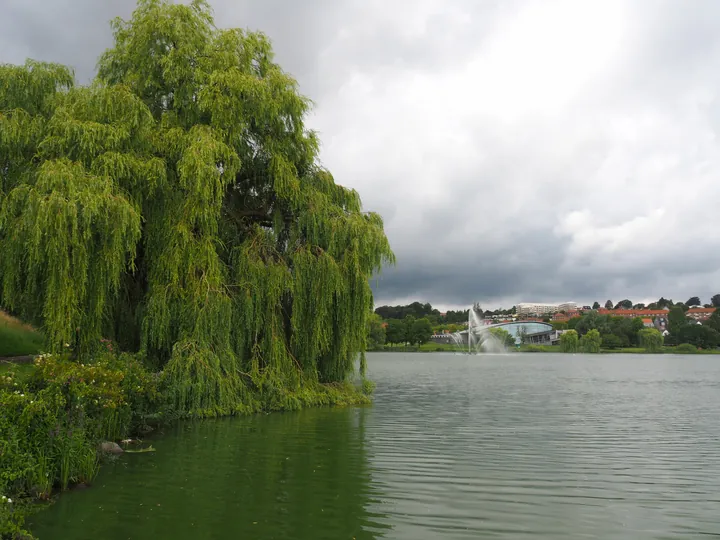 Kolding (Denemarken)